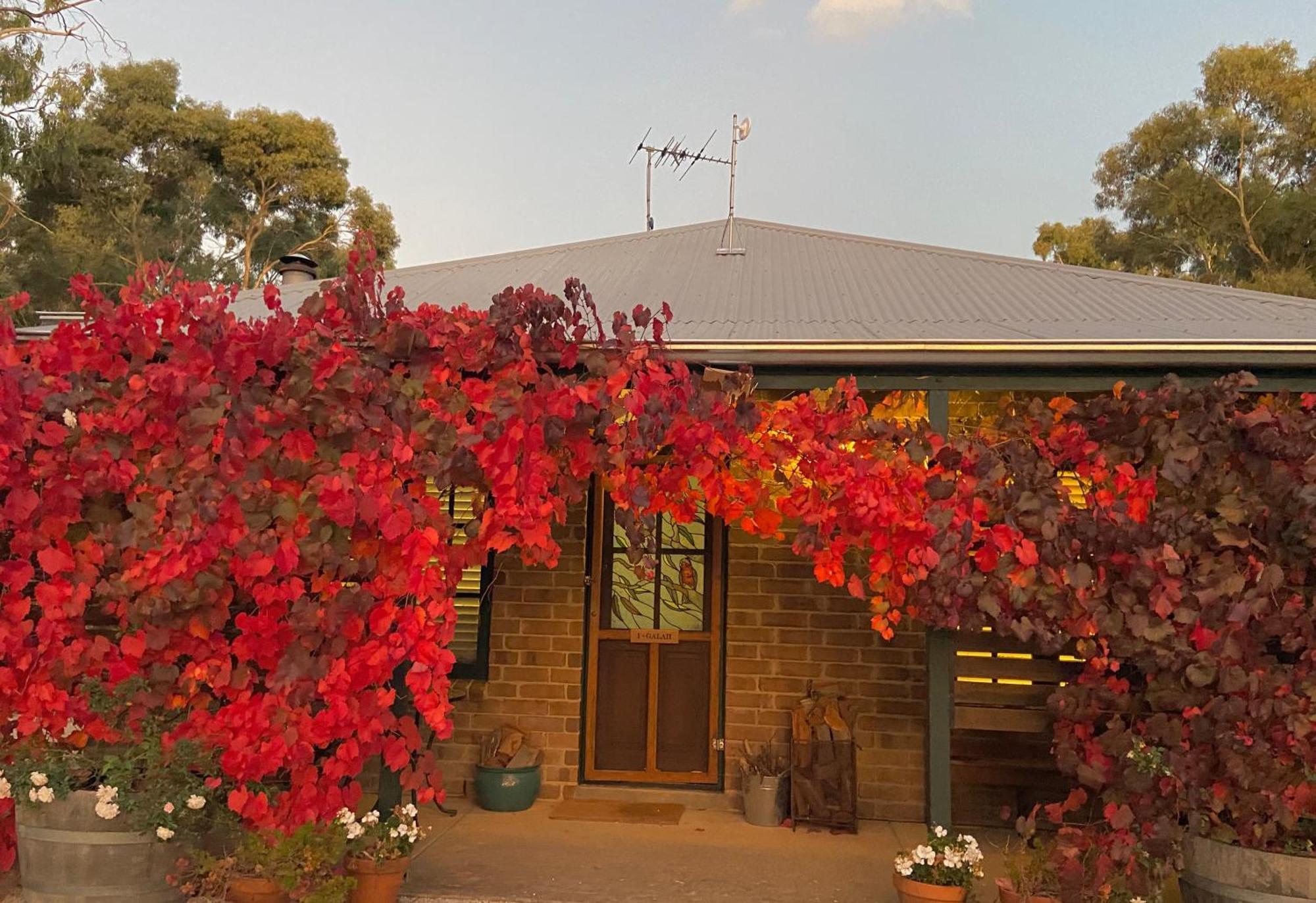 Battunga Cottages Watervale Exterior foto